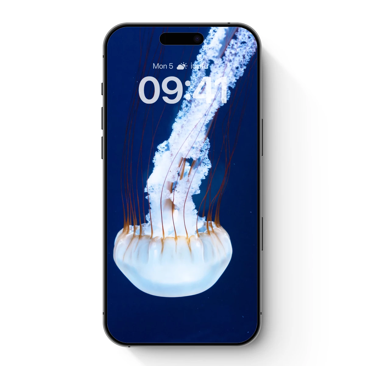 Ethereal Jellyfish: Deep Blue Serenity Ethereal Jellyfish: Deep Blue Serenity