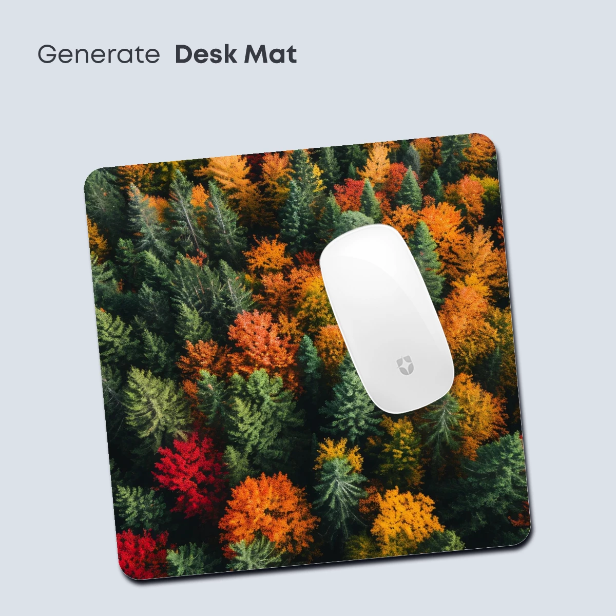 Autumn Forest Canopy: A Symphony of Colors - Image 4