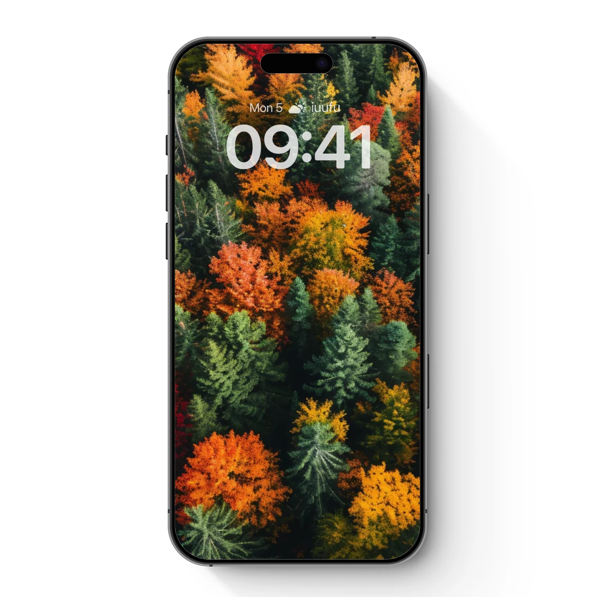 Autumn Forest Canopy: A Symphony of Colors