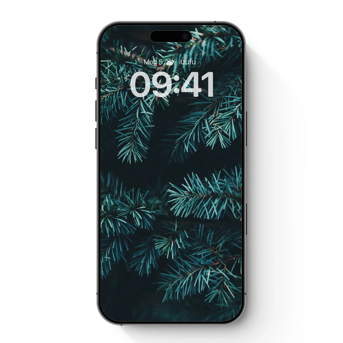 Ethereal Blue Spruce Whispers