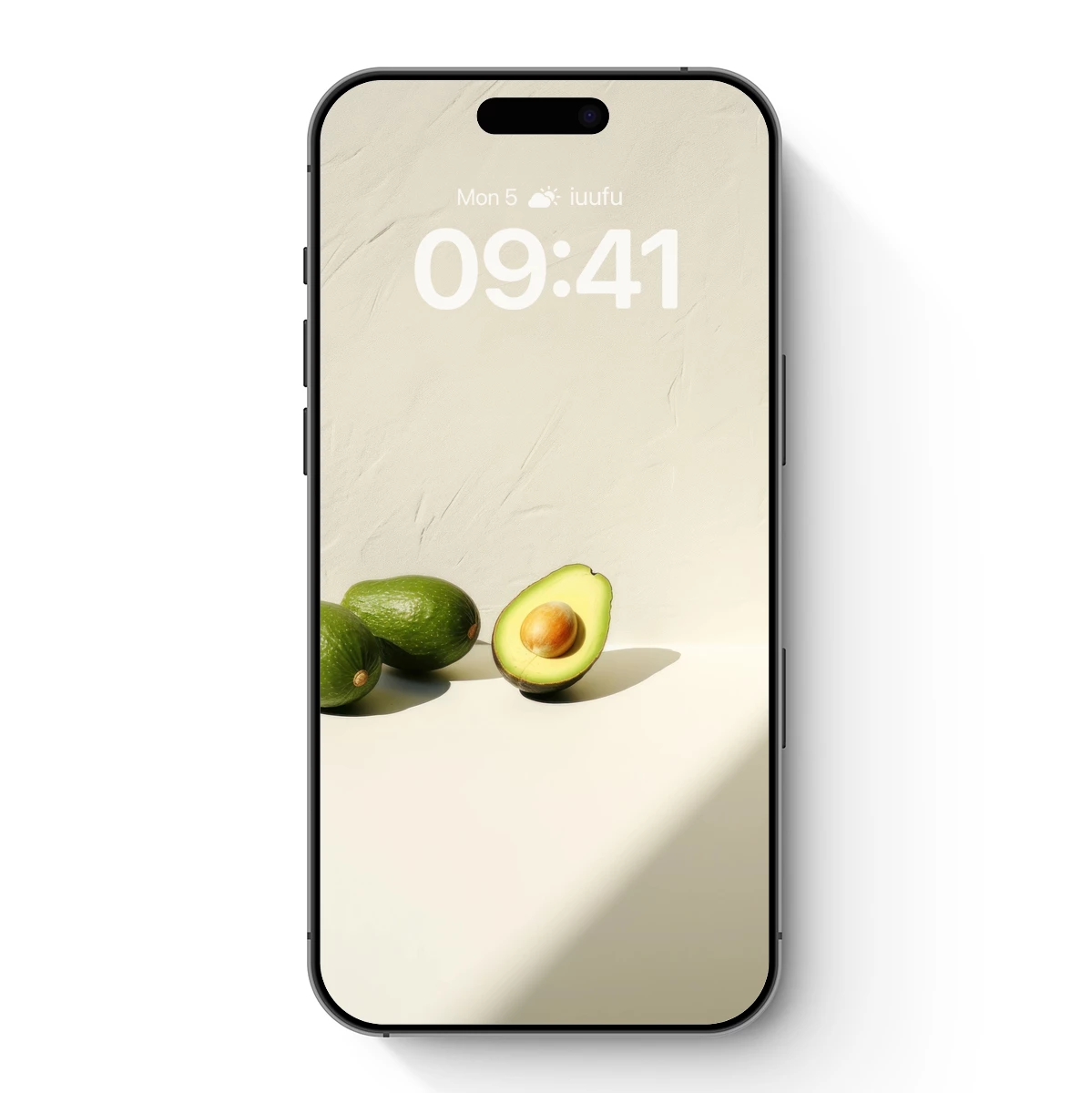 Avocado Elegance: Sunlit Simplicity