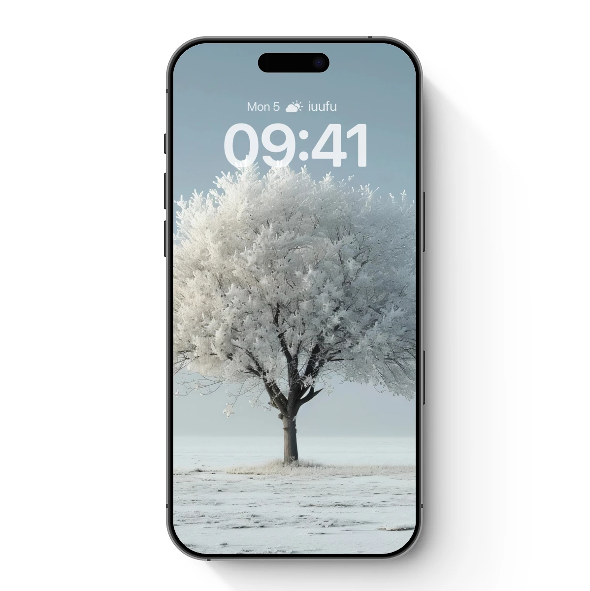 Frost-Kissed Solitude: A Winter Tree’s Elegance Frost-Kissed Solitude: A Winter Tree's Elegance