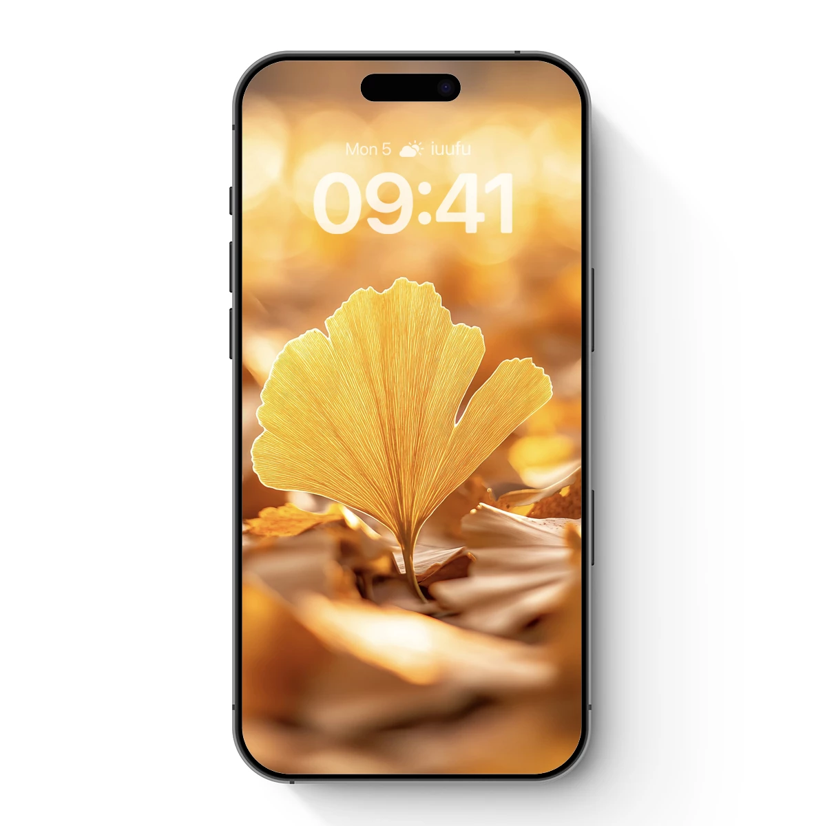 Golden Ginkgo Elegance: Autumn’s Radiant Leaf Golden Ginkgo Elegance: Autumn's Radiant Leaf