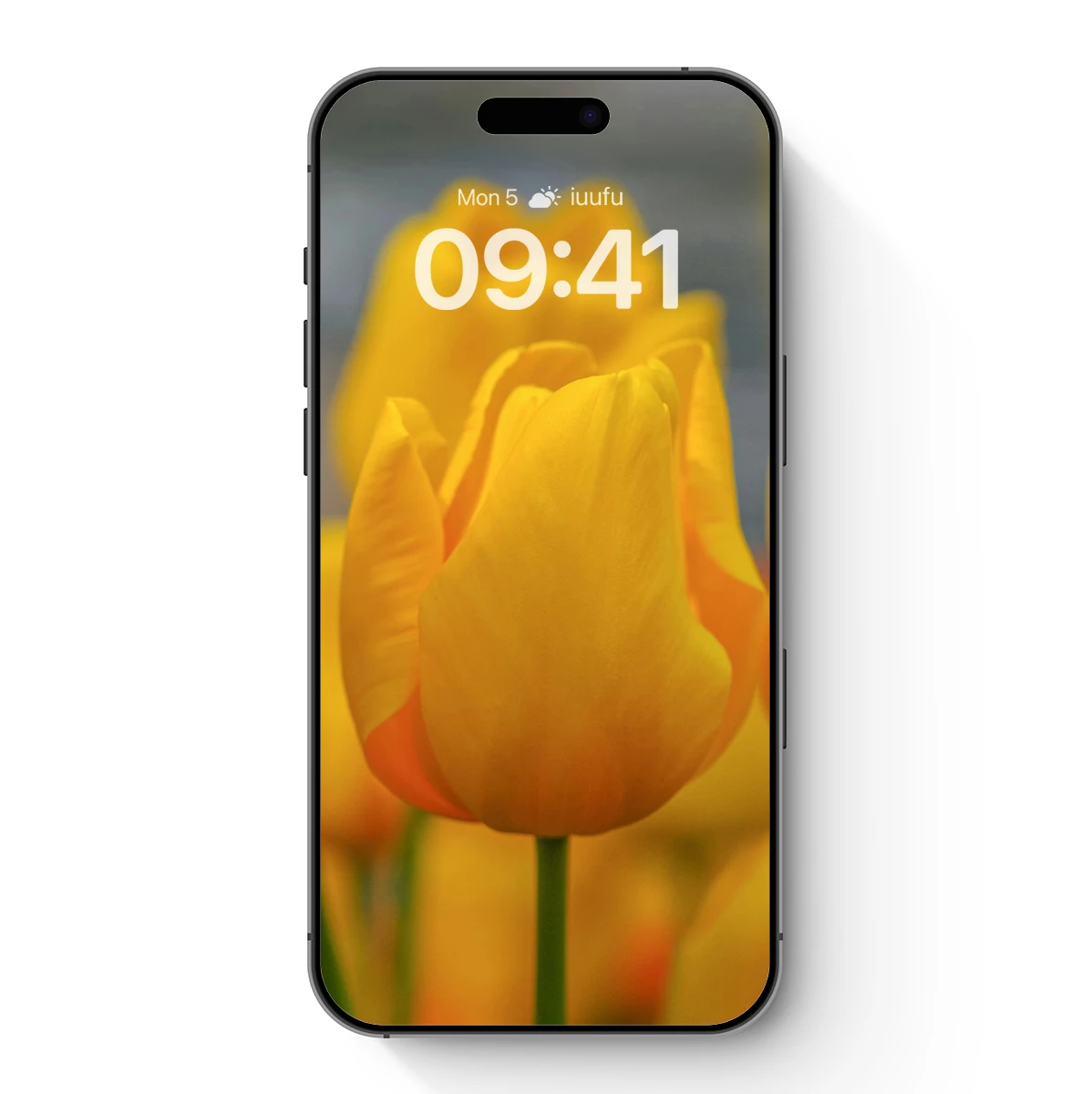 Golden Tulip Symphony: Vibrant Yellow Elegance