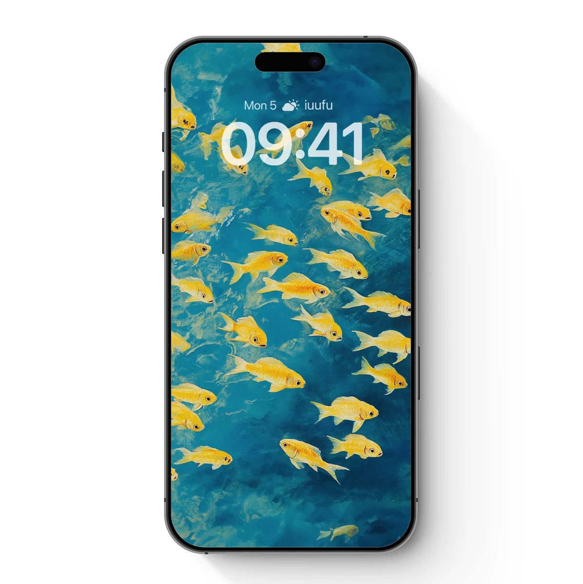 Golden Fish Swarm in Turquoise Depths Golden Fish Swarm in Turquoise Depths