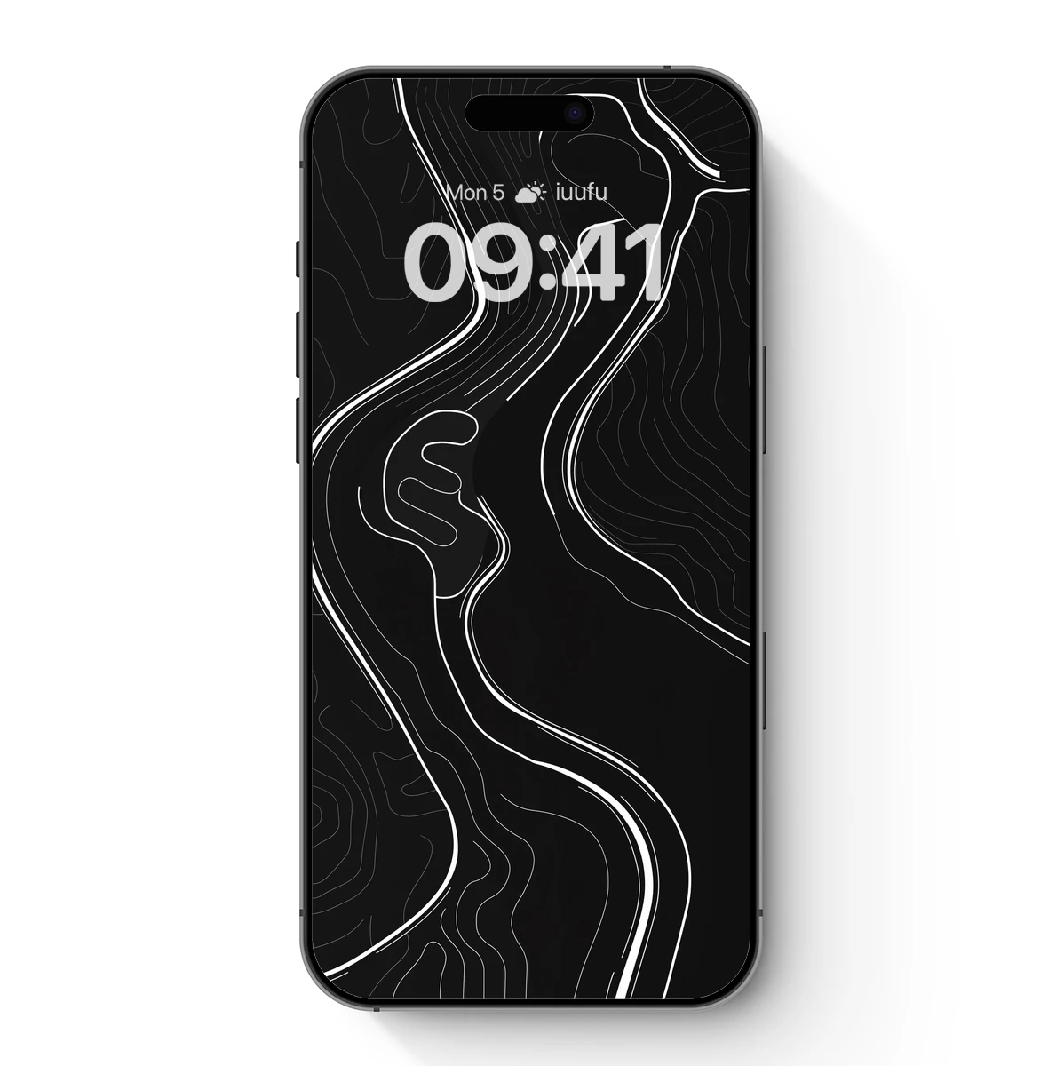 Contour Elegance: White Lines on Black Canvas