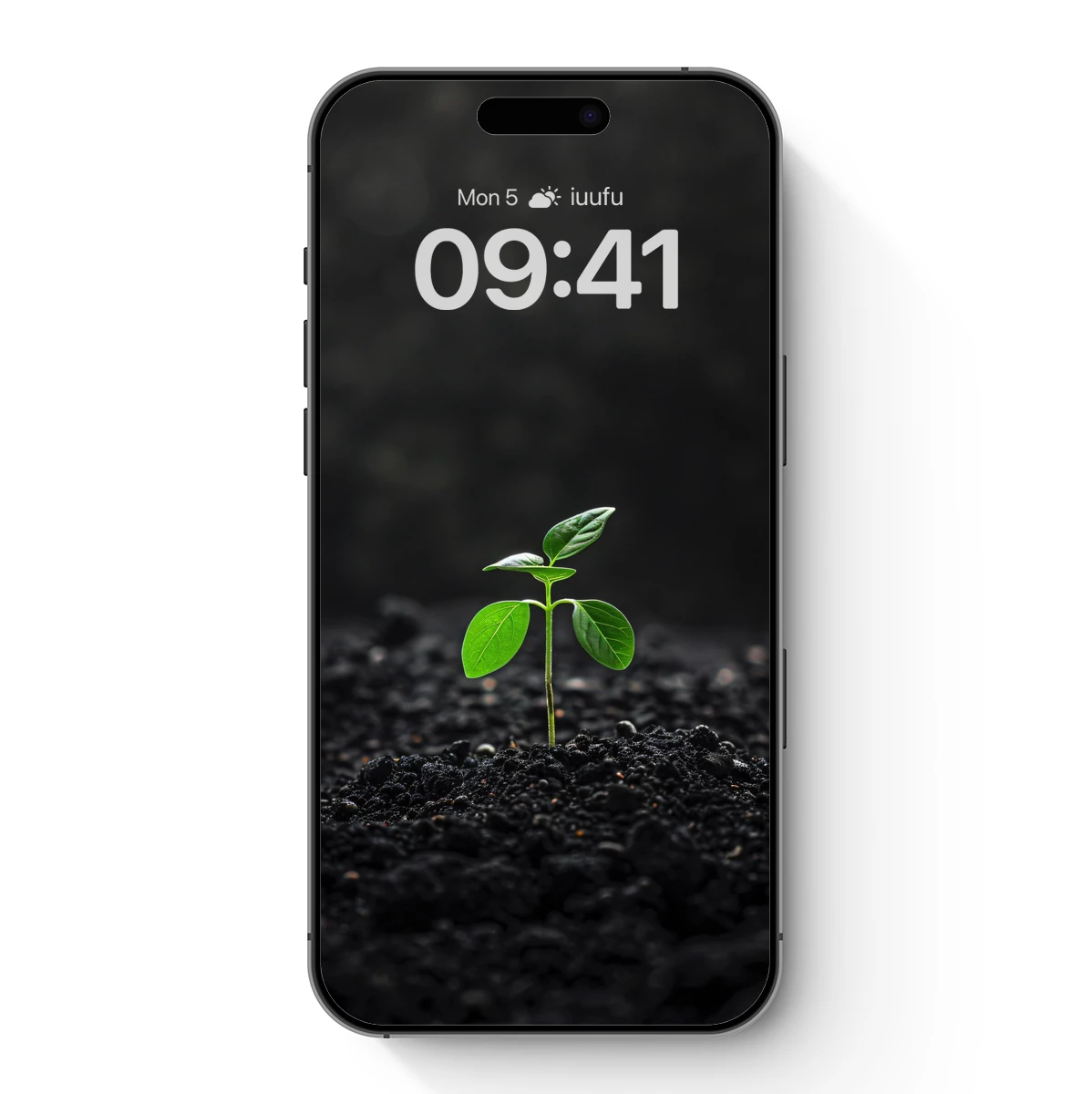 Emerging Green Hope: Solitary Sprout Against Darkness