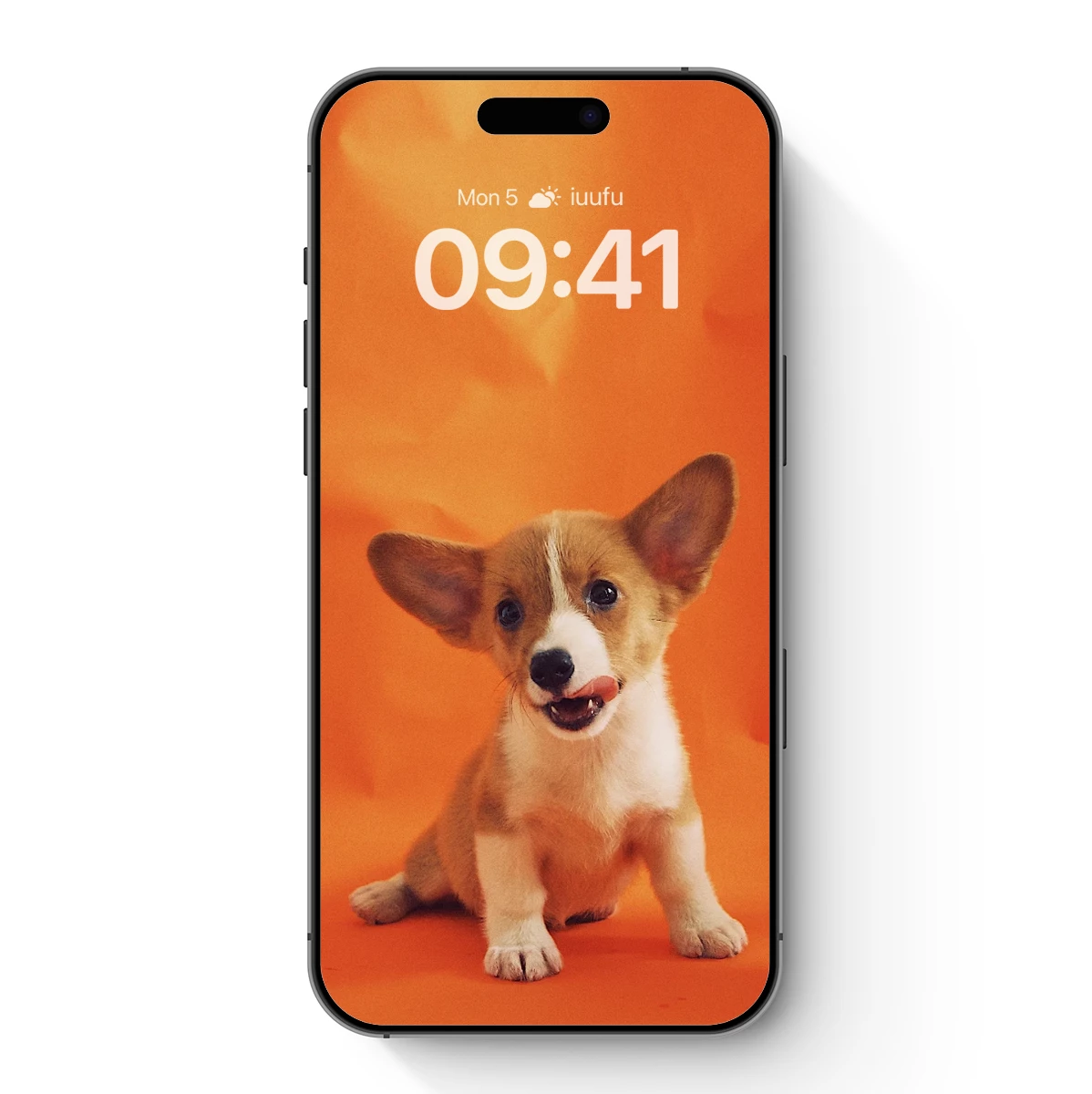 Corgi Puppy in Vibrant Orange Bliss