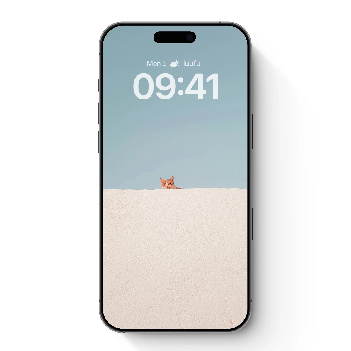 Curious Cat Peeking Over White Wall