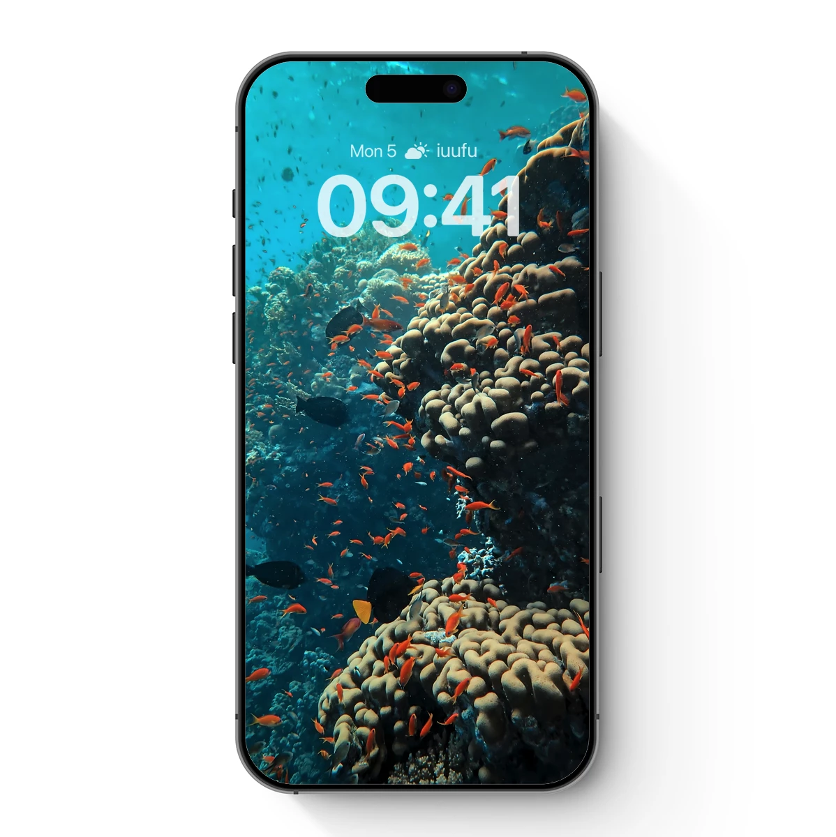 Coral Reef Symphony: A Vivid Underwater Ballet