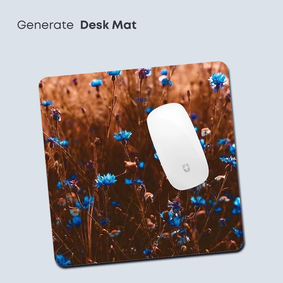 Blue Cornflower Sunset Symphony - Image 4