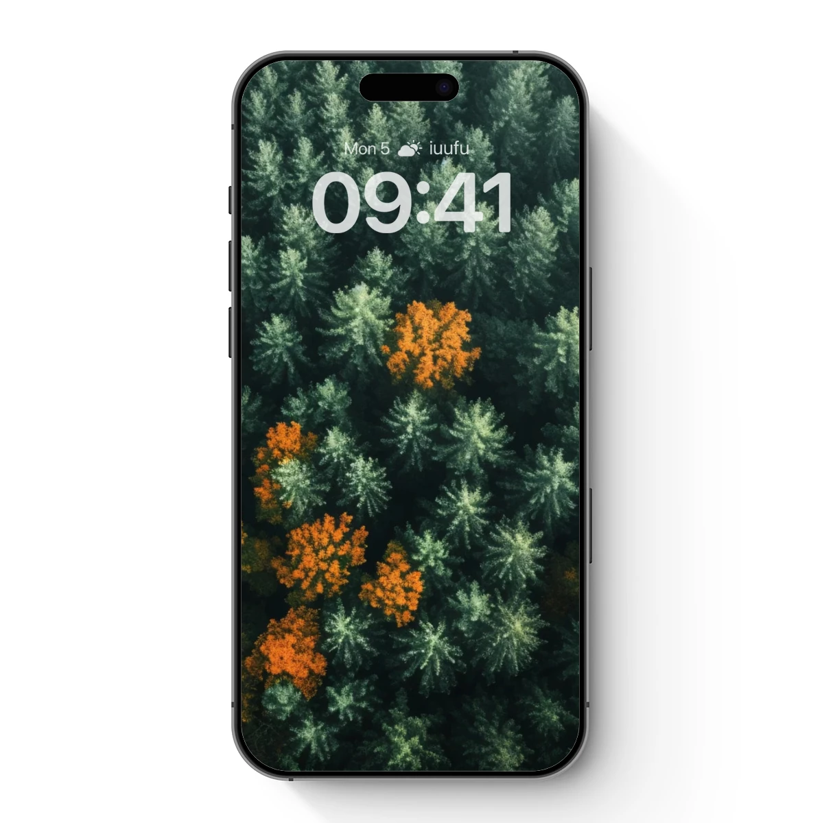 Autumn's Embrace: Pine Forest with Golden Accents