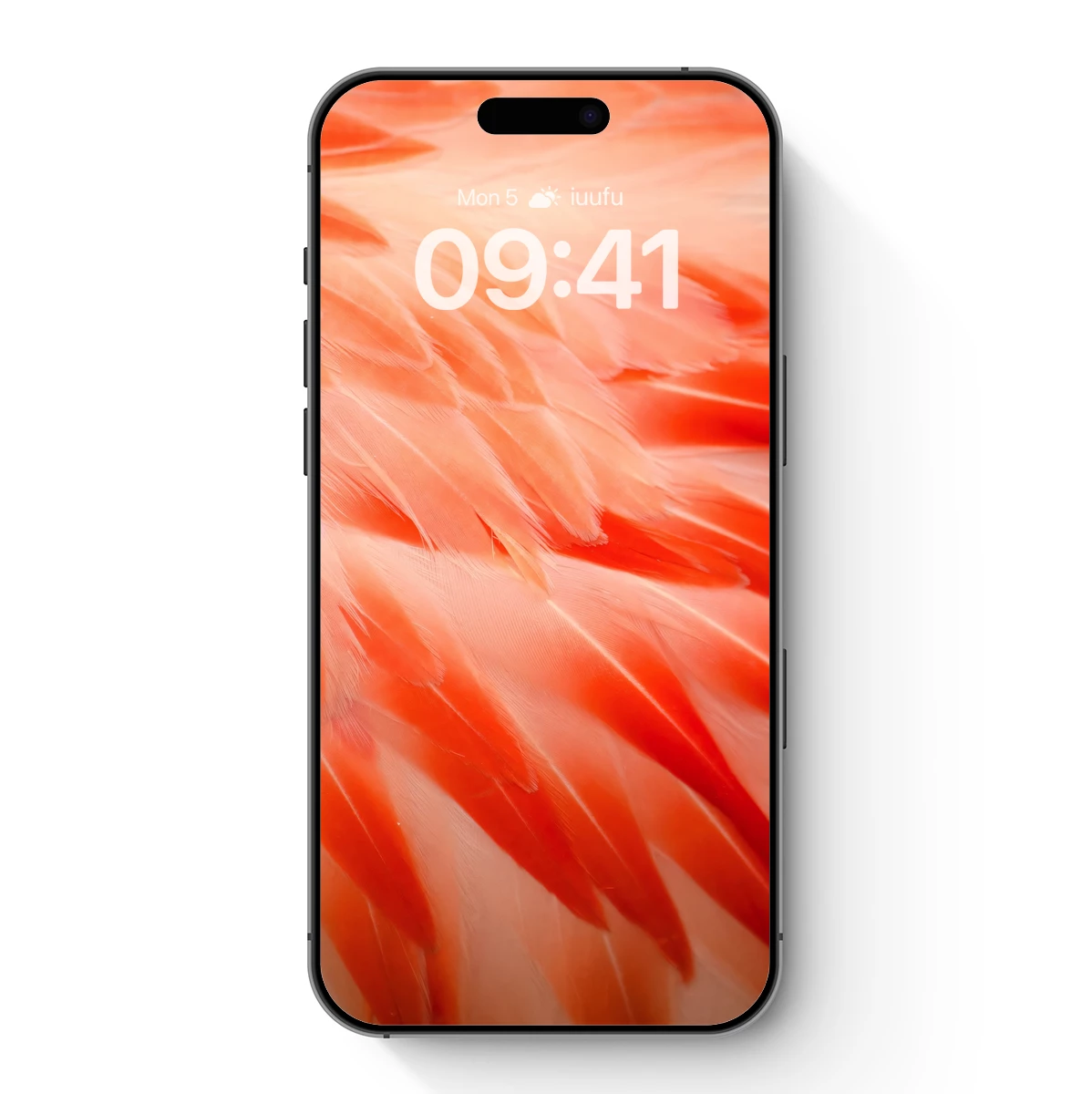 Coral Feather Symphony: Textured Elegance