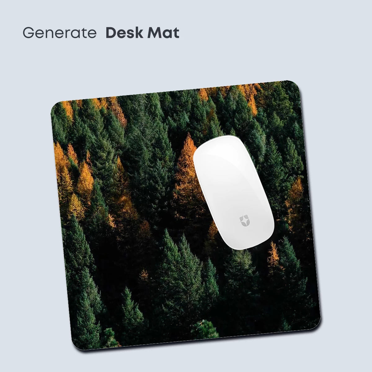 Autumn's Embrace: Golden Pines Amidst Evergreens - Image 4