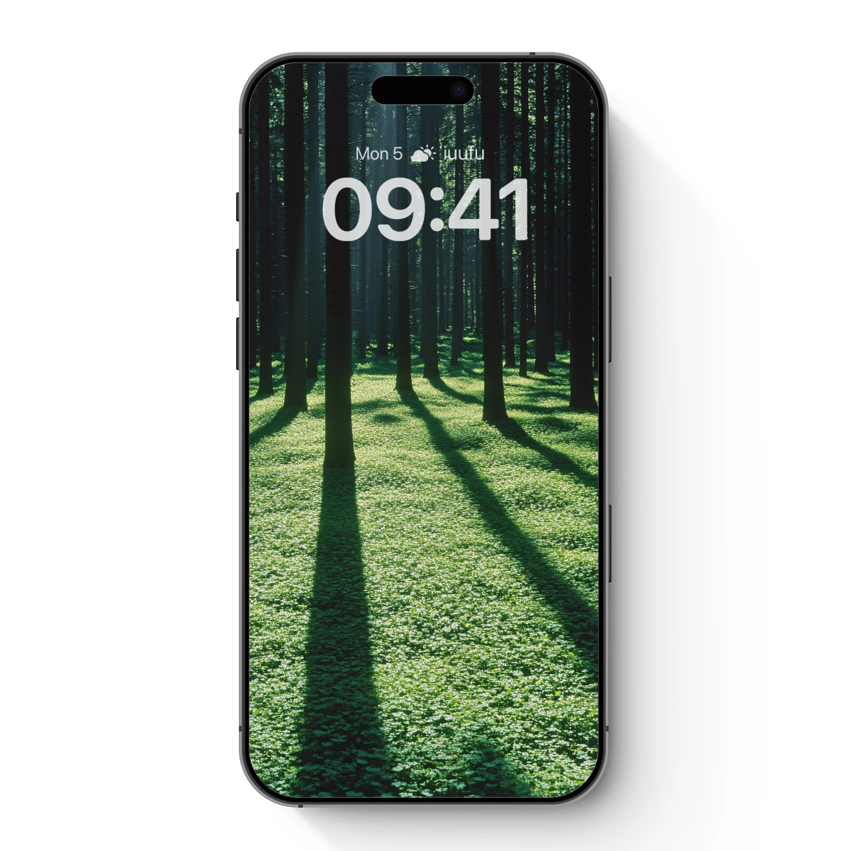 Forest Shadows: A Symphony of Light and Green