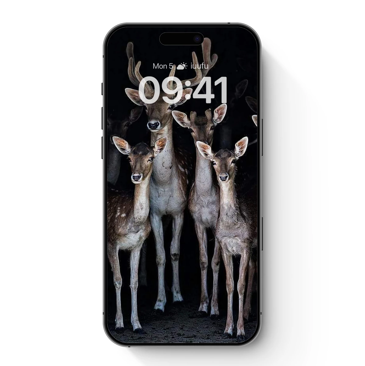 Deer Ensemble in Shadow: A Wildlife Symphony