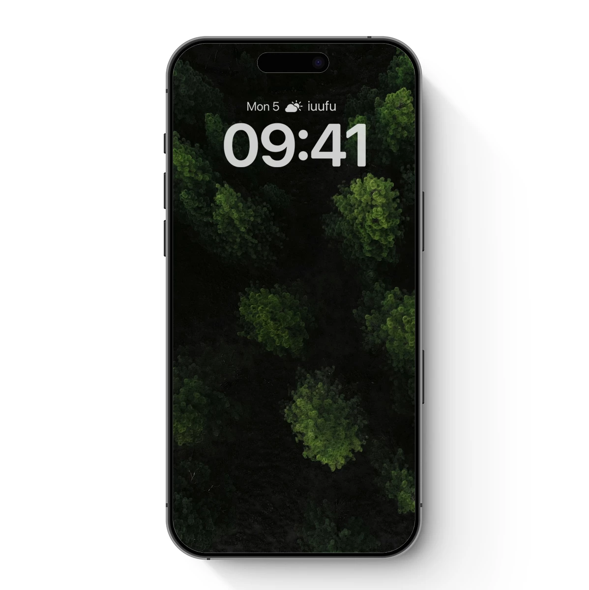 Forest Canopy Shadows: Aerial Serenity Forest Canopy Shadows: Aerial Serenity