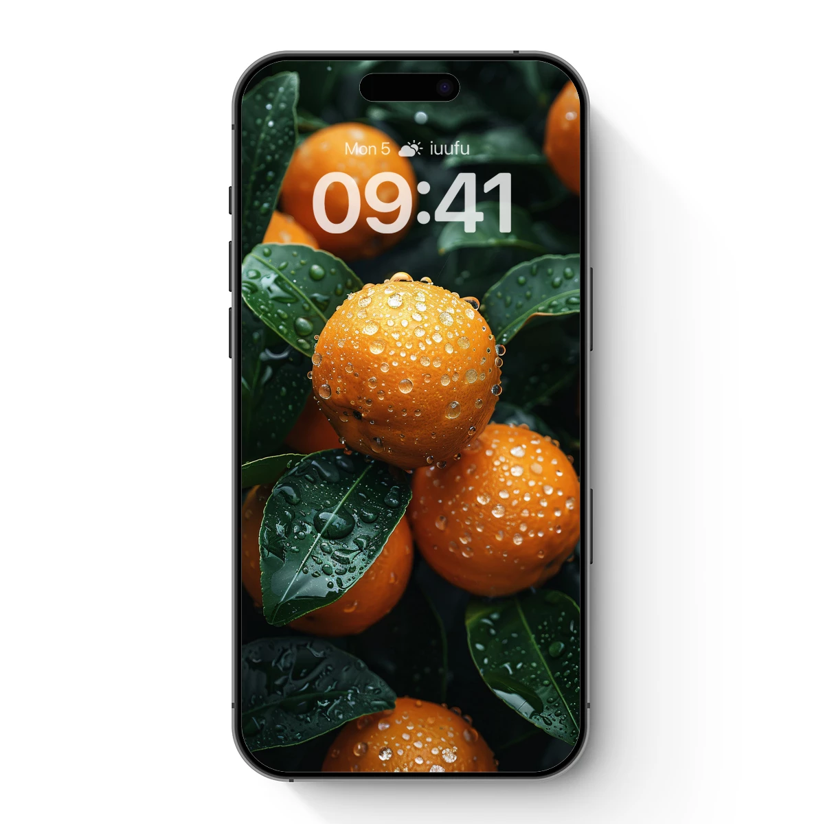 Dew-Drenched Oranges: Luminous Harvest Glow