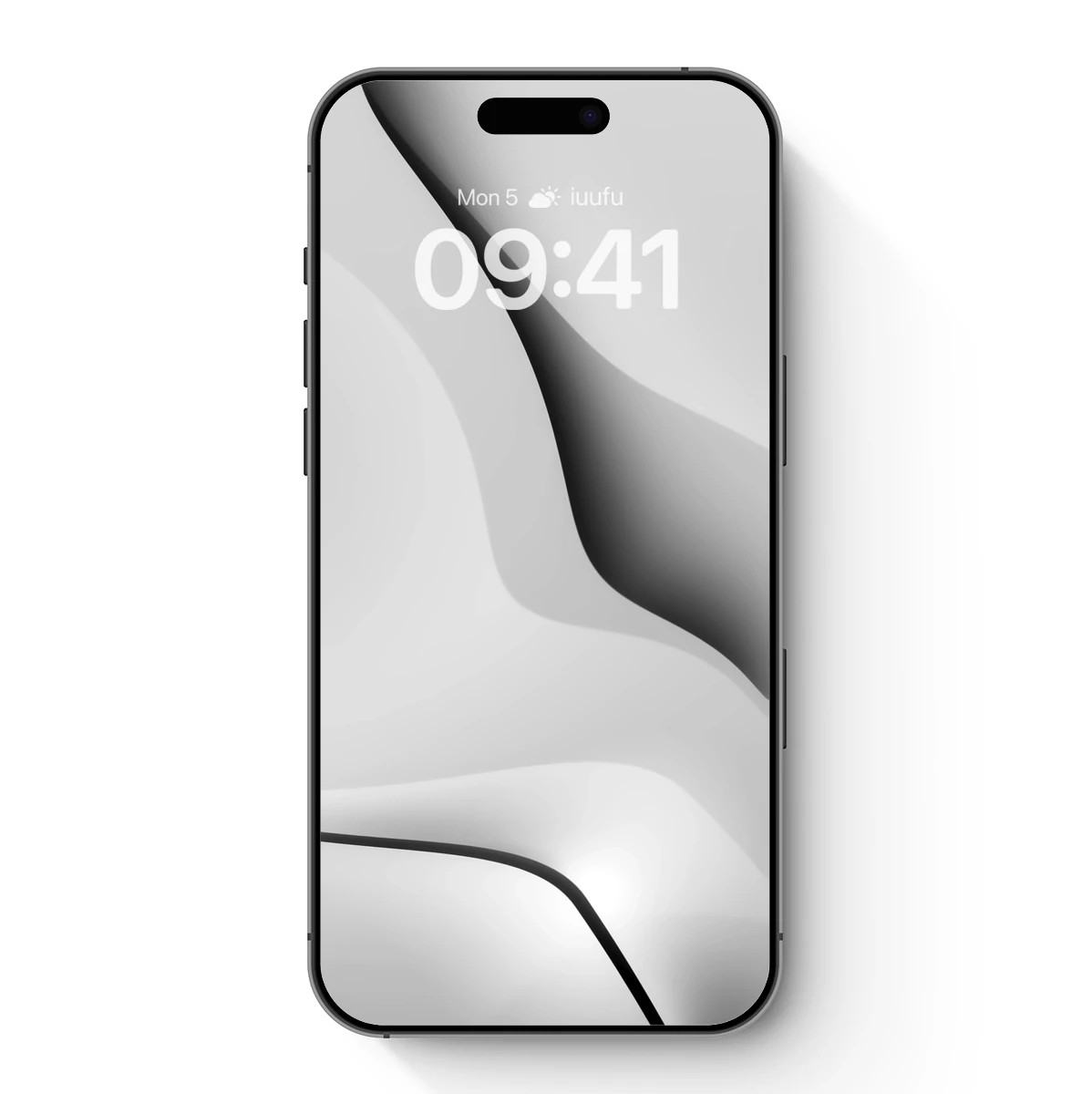 Elegant Curves: Monochrome Flow Art