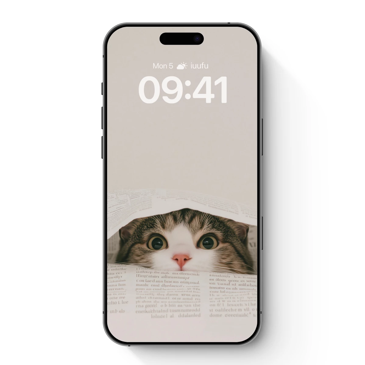 Curious Cat Behind Newspaper