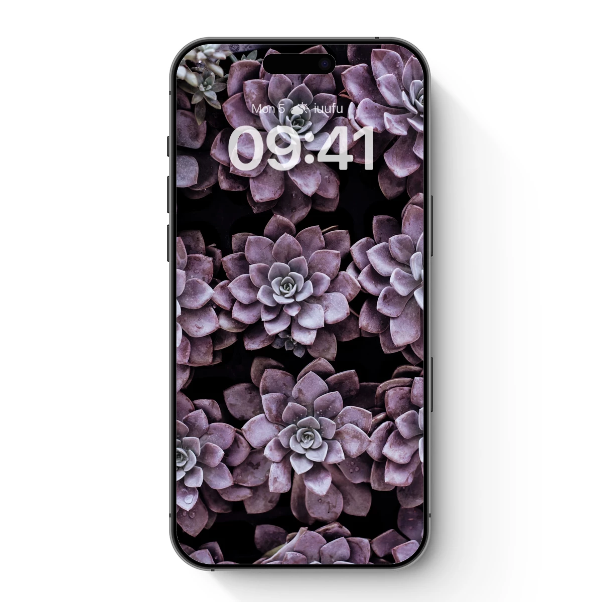 Ethereal Succulent Symphony Ethereal Succulent Symphony