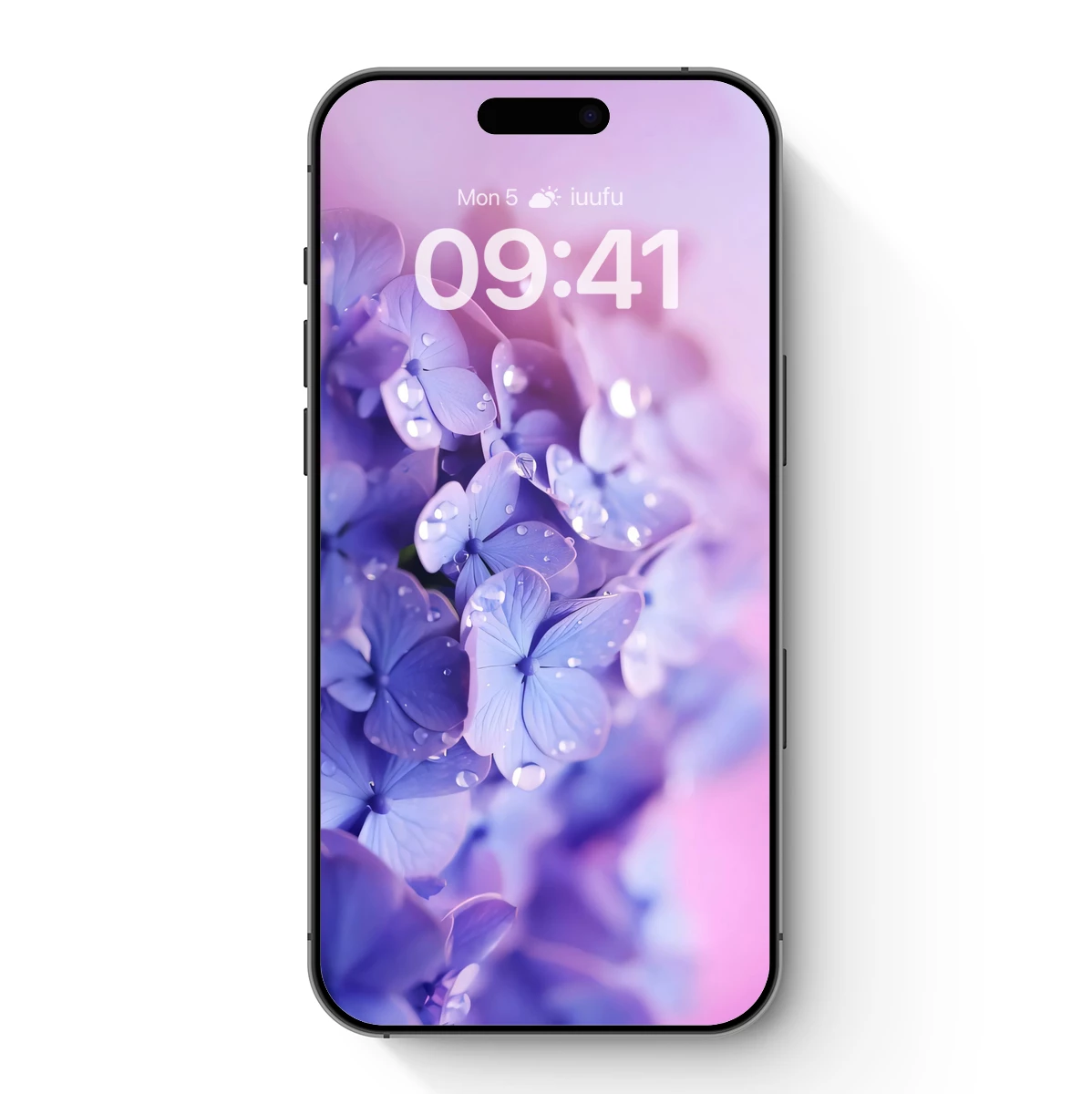 Ethereal Hydrangea Bloom: Dew-Kissed Petals in Pastel Hues