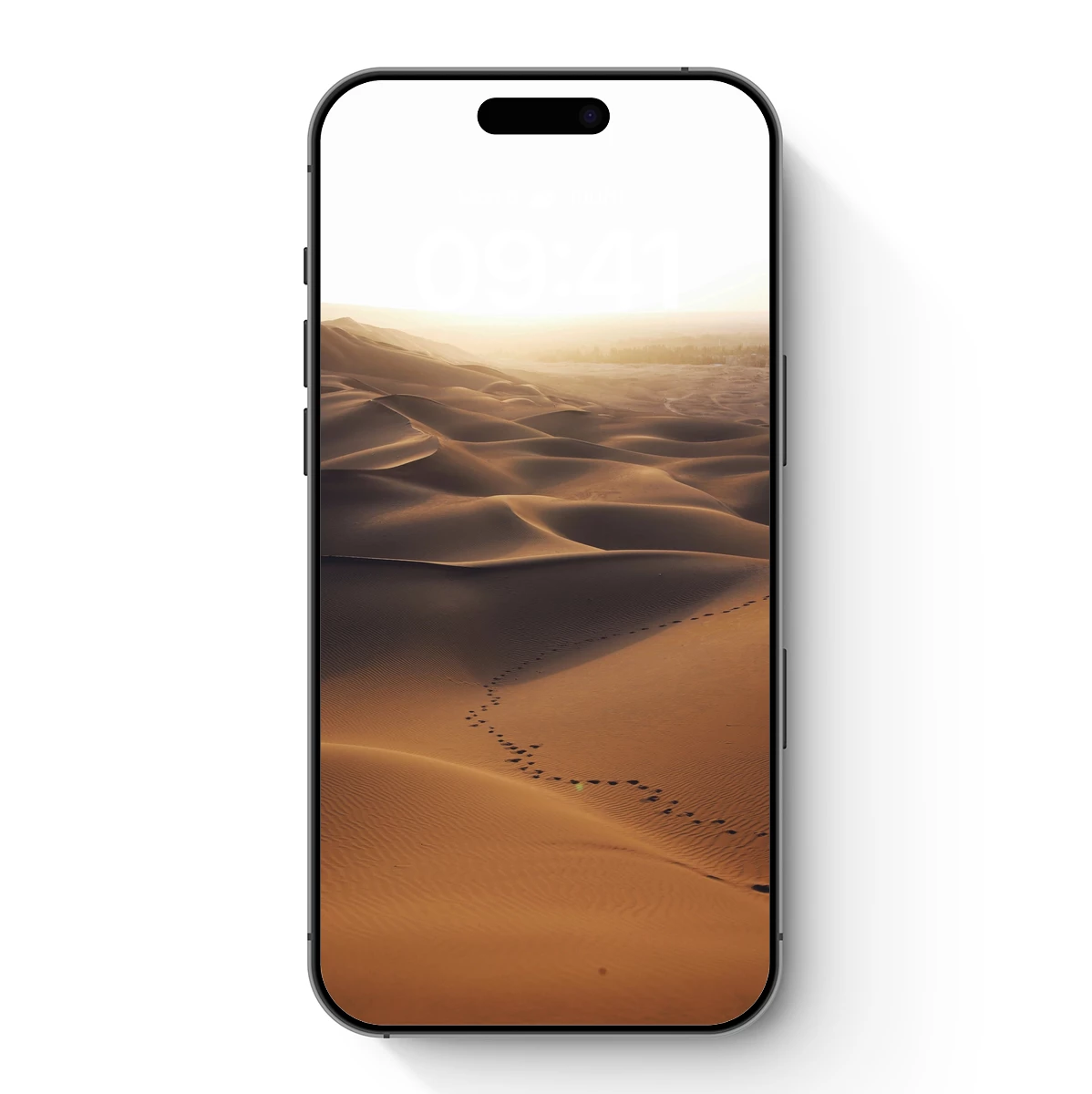 Desert Dunes at Dawn: Footprints in the Sand