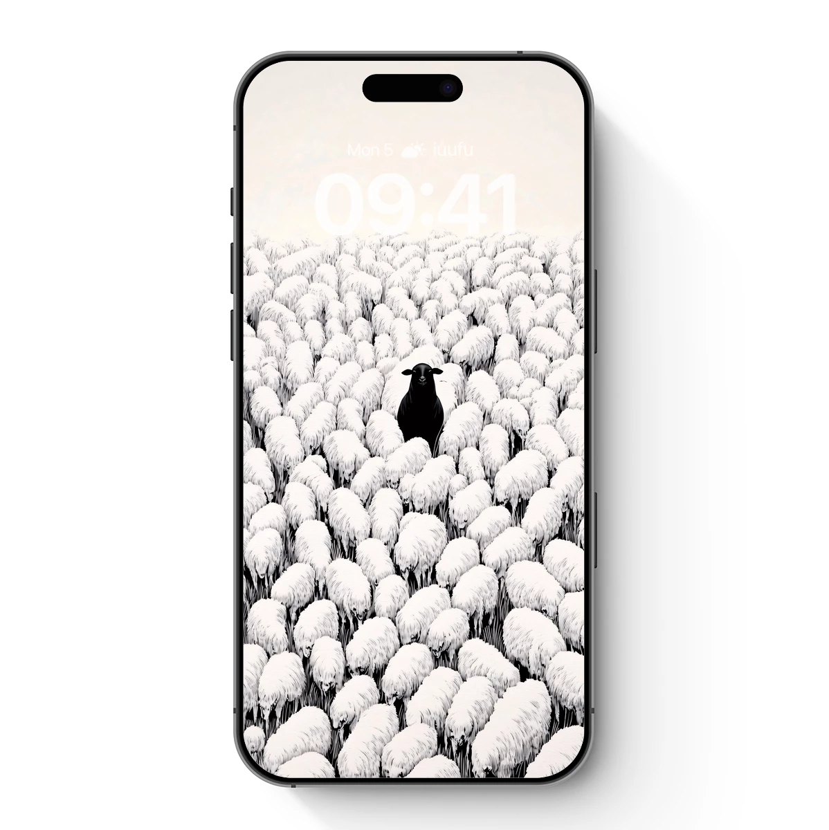 Black Sheep Among the White: A Study in Contrast