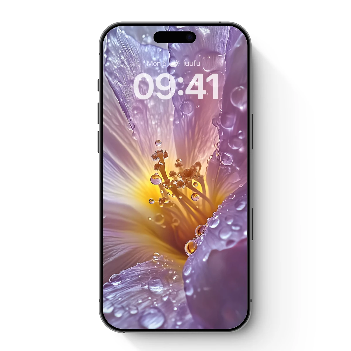 Dew-Kissed Petals: A Floral Symphony in Purple Hues