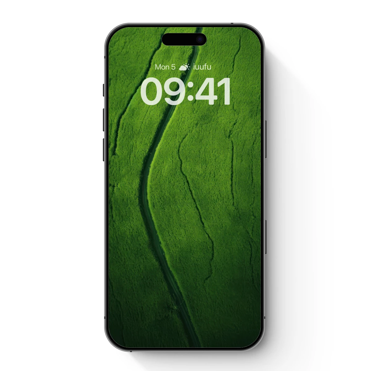 Emerald Path: Nature's Abstract Vein