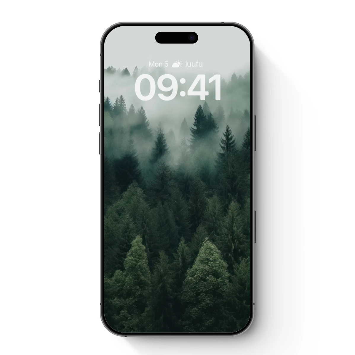 Misty Pine Canopy: A Veil of Serenity