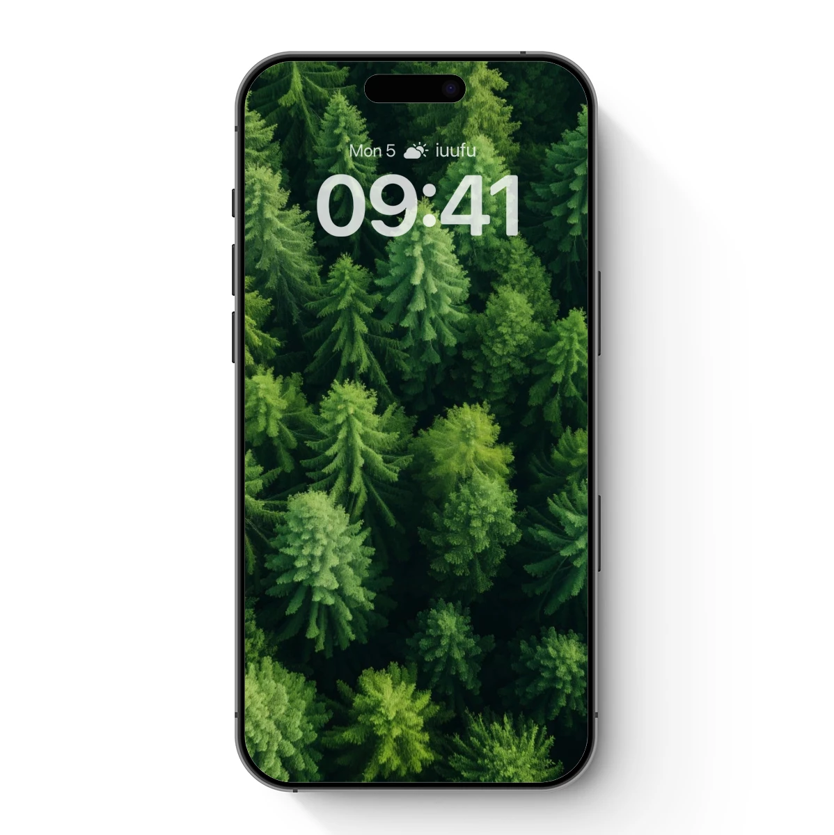 Aerial Forest Canopy: Green Symmetry