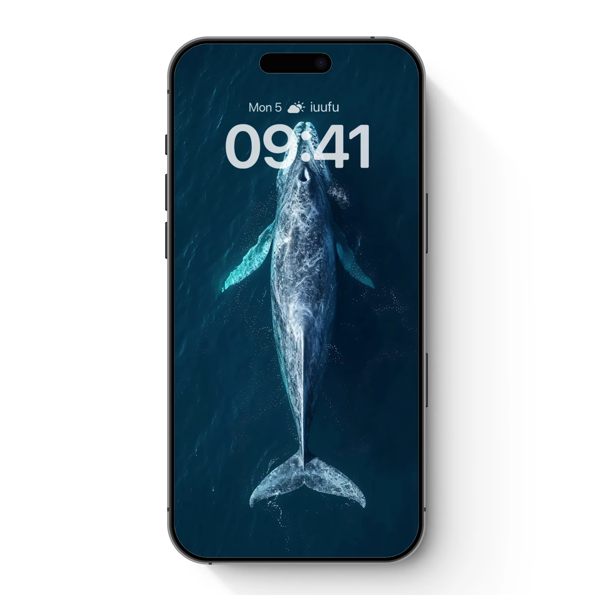 Aerial Serenity: Whale’s Ocean Embrace Aerial Serenity: Whale's Ocean Embrace
