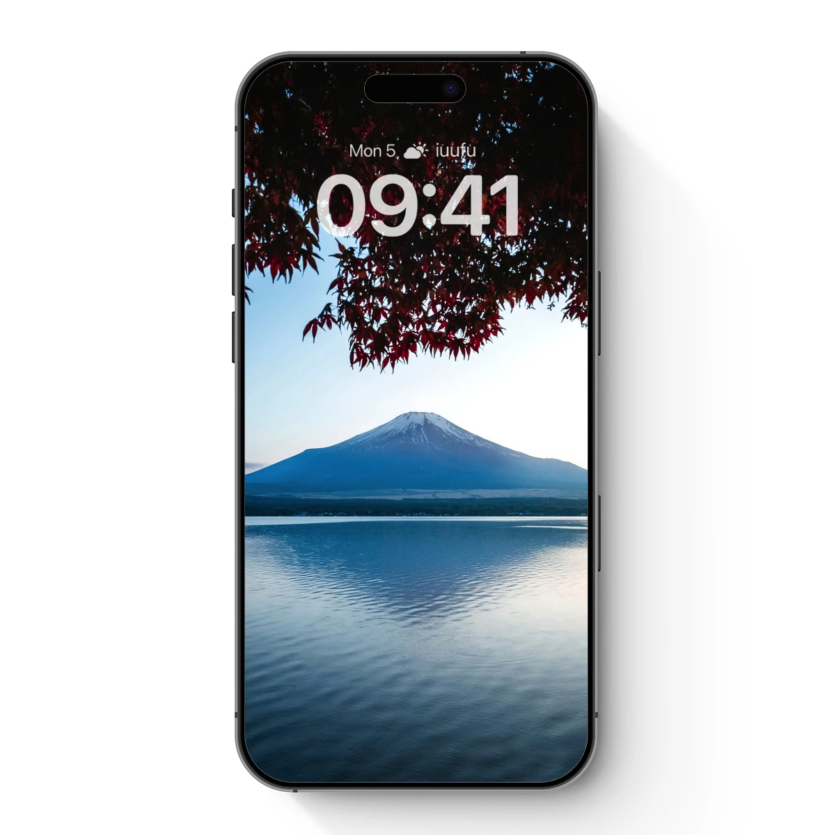 Autumn's Embrace on Mount Fuji