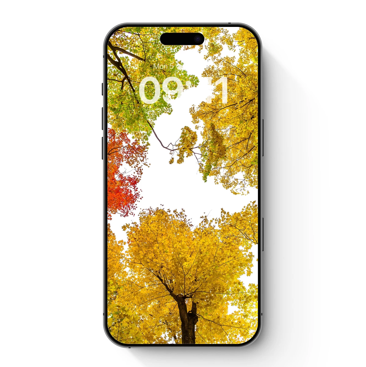 Autumn Canopy Symphony: Vibrant Leaves in Harmony