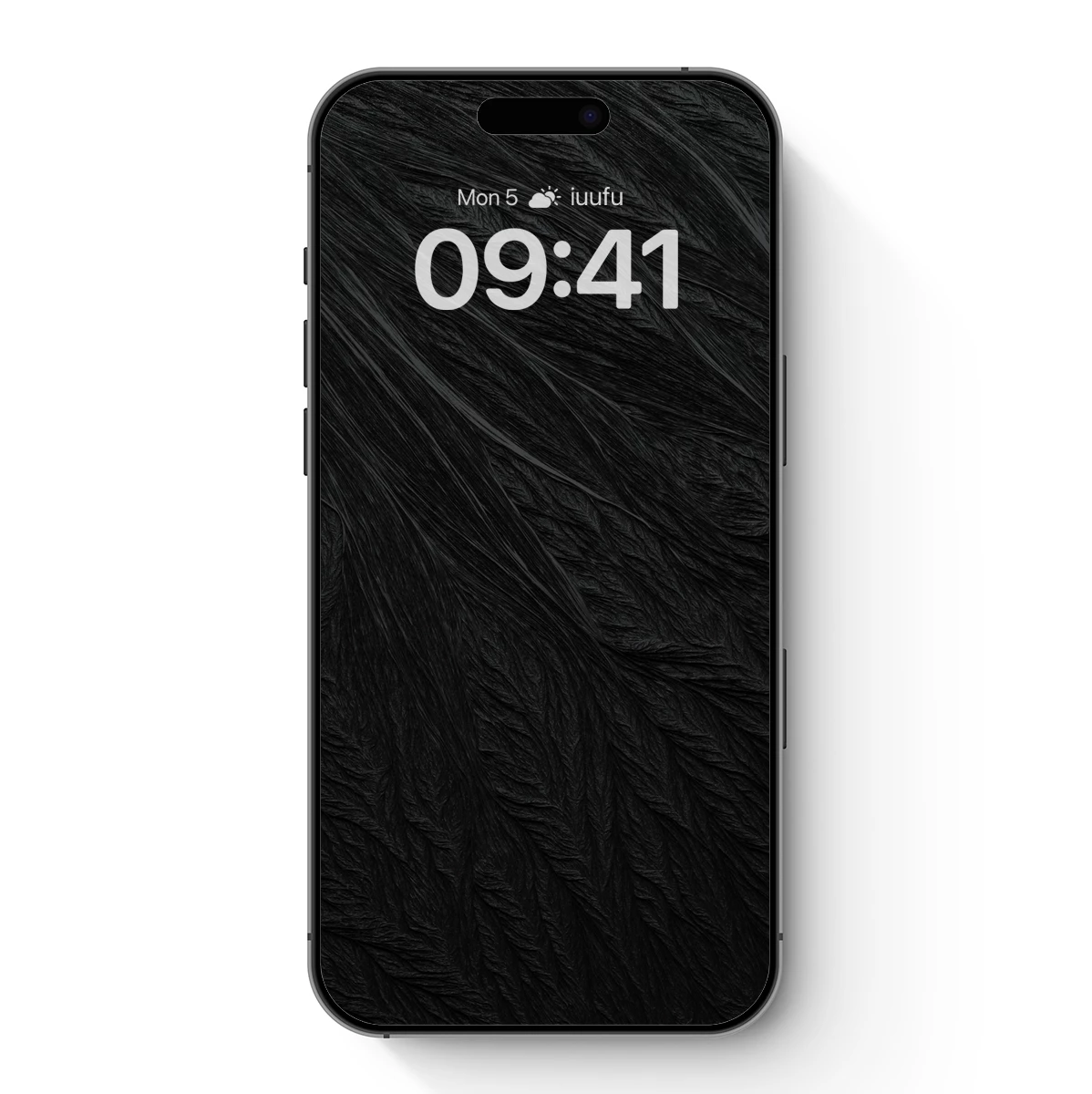 Eternal Midnight Feathers