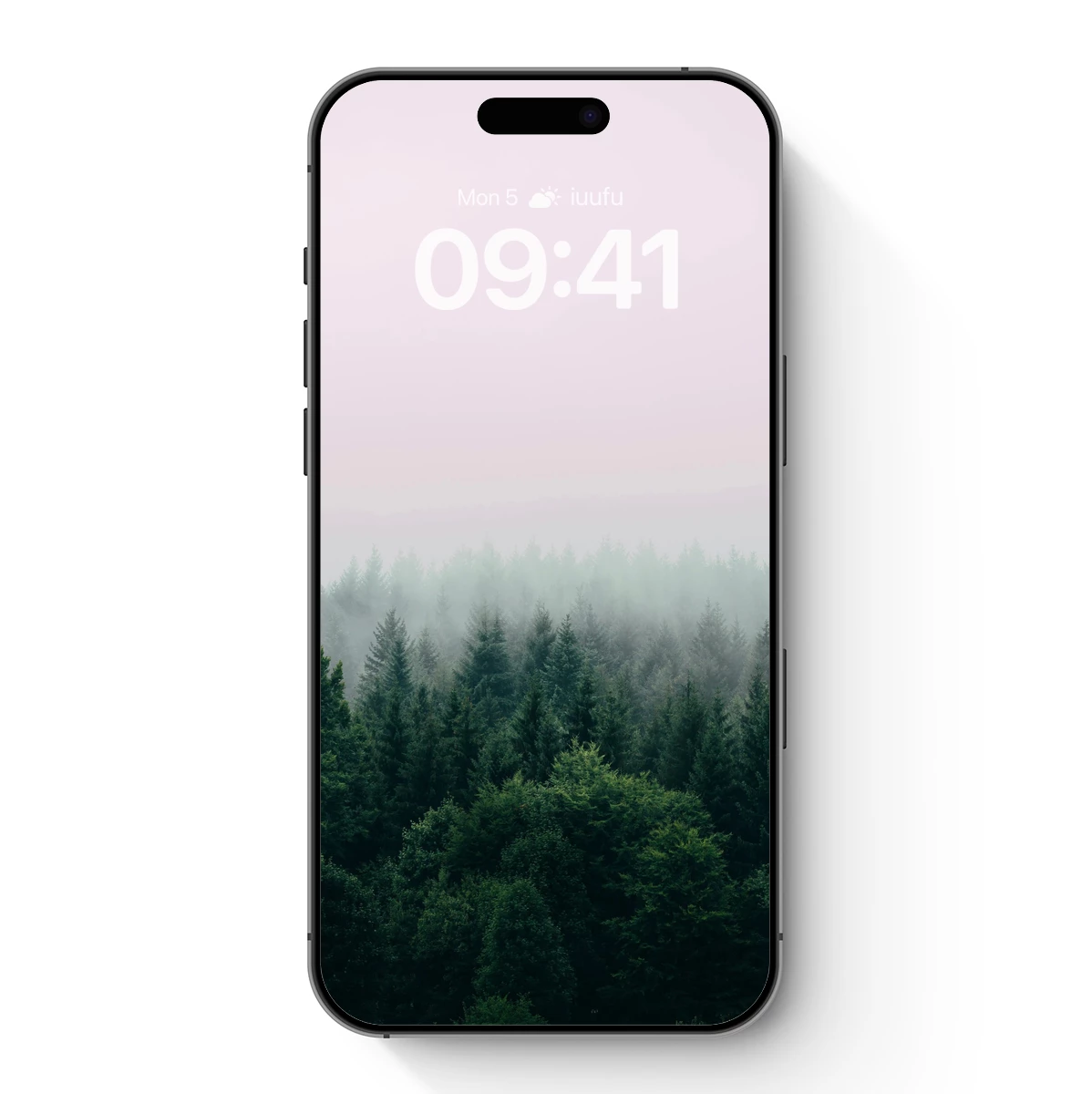Misty Forest Canopy: A Veil of Serenity