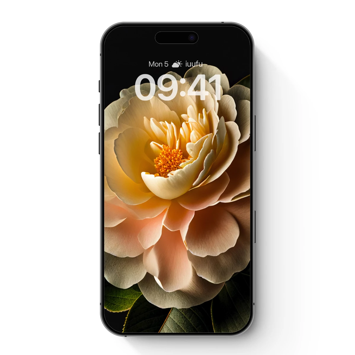 Elegant Camellia Bloom: Soft Petals and Golden Center