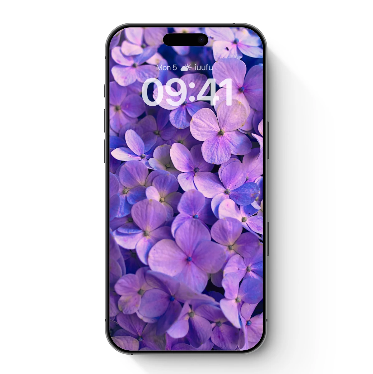 Ethereal Purple Hydrangeas: A Floral Symphony