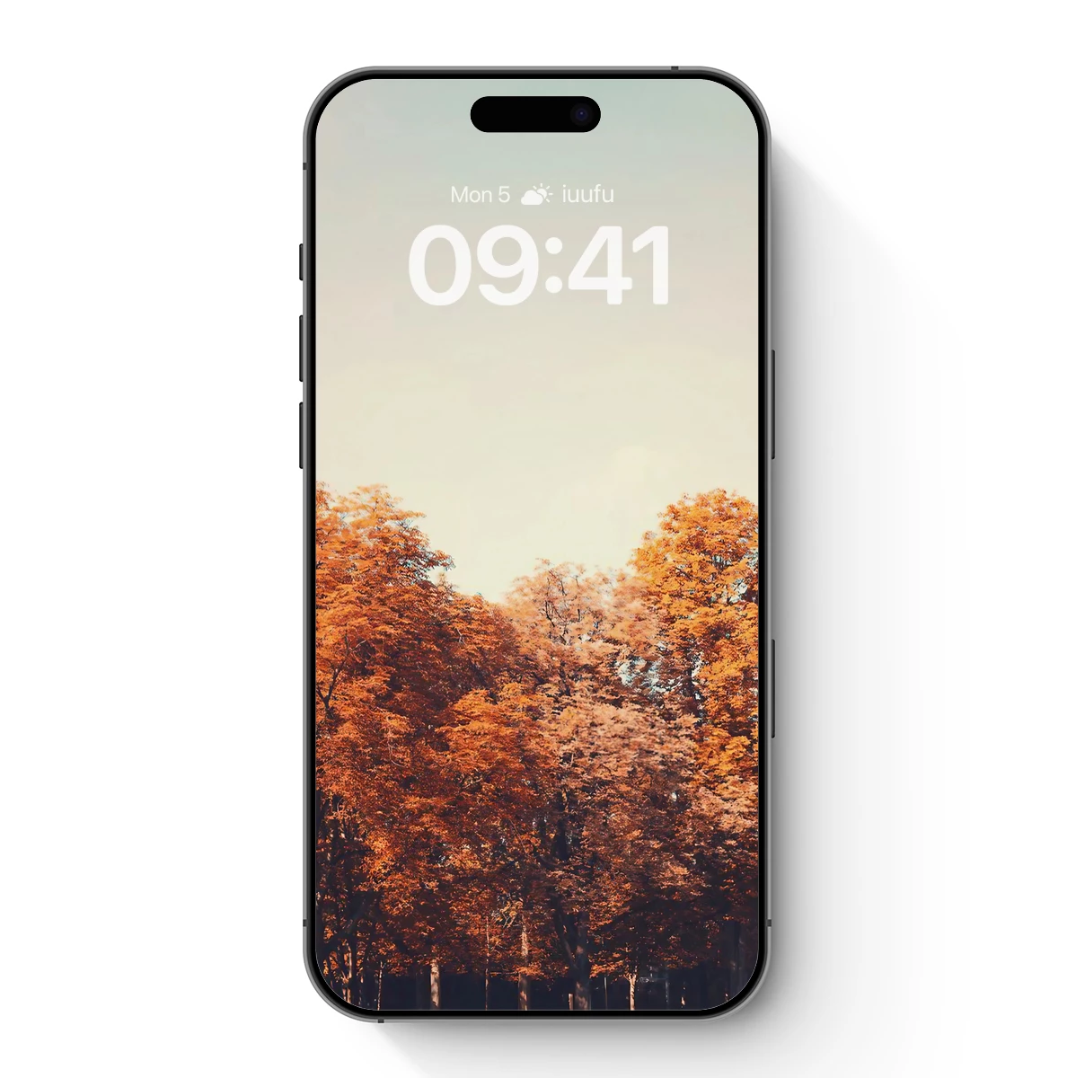 Autumnal Canopy: Golden Trees Against Serene Skies Autumnal Canopy: Golden Trees Against Serene Skies