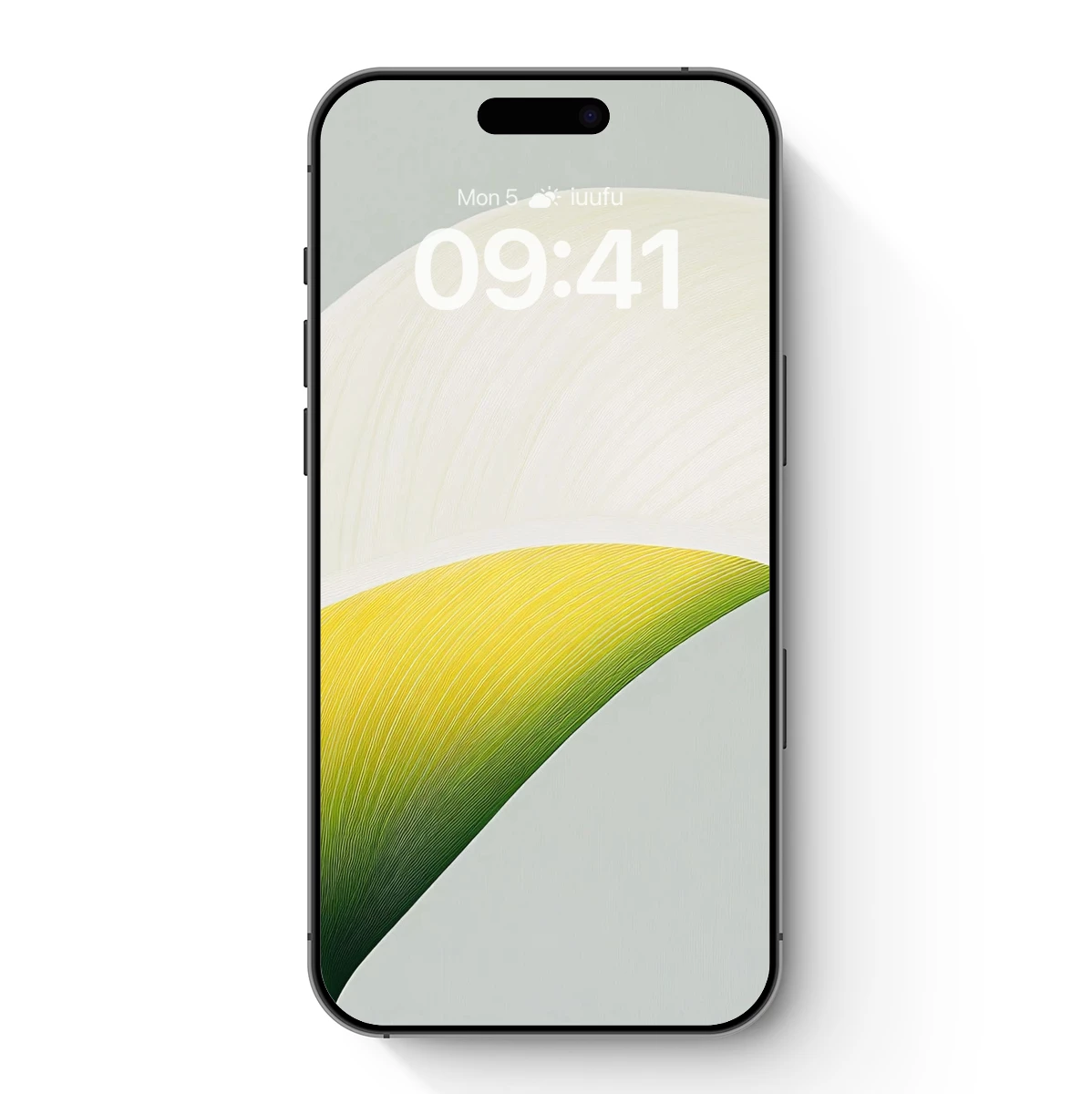 Elegant Calla Lily: A Study in Curved Simplicity