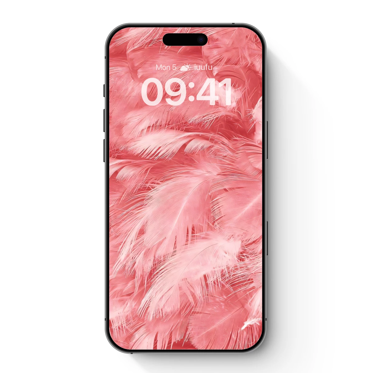 Blush Pink Feather Symphony Blush Pink Feather Symphony