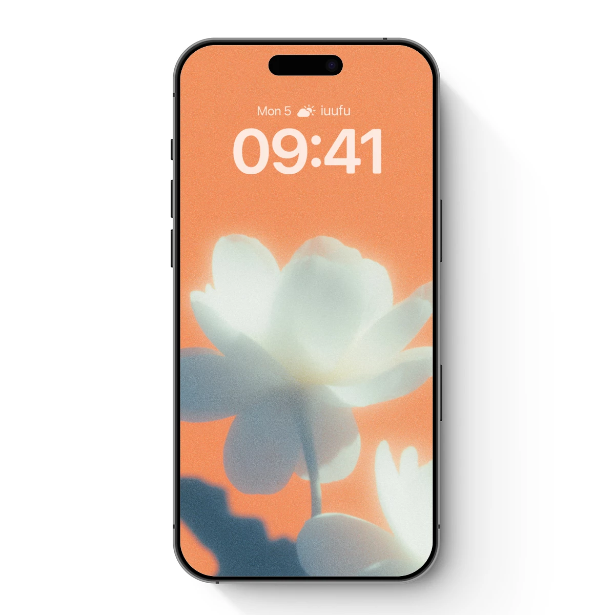 Ethereal Bloom: White Flower Against Coral Hue