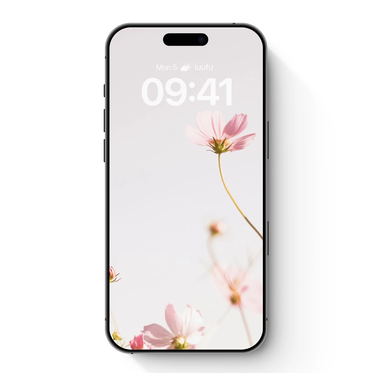 Ethereal Pink Cosmos: Whispers of Spring