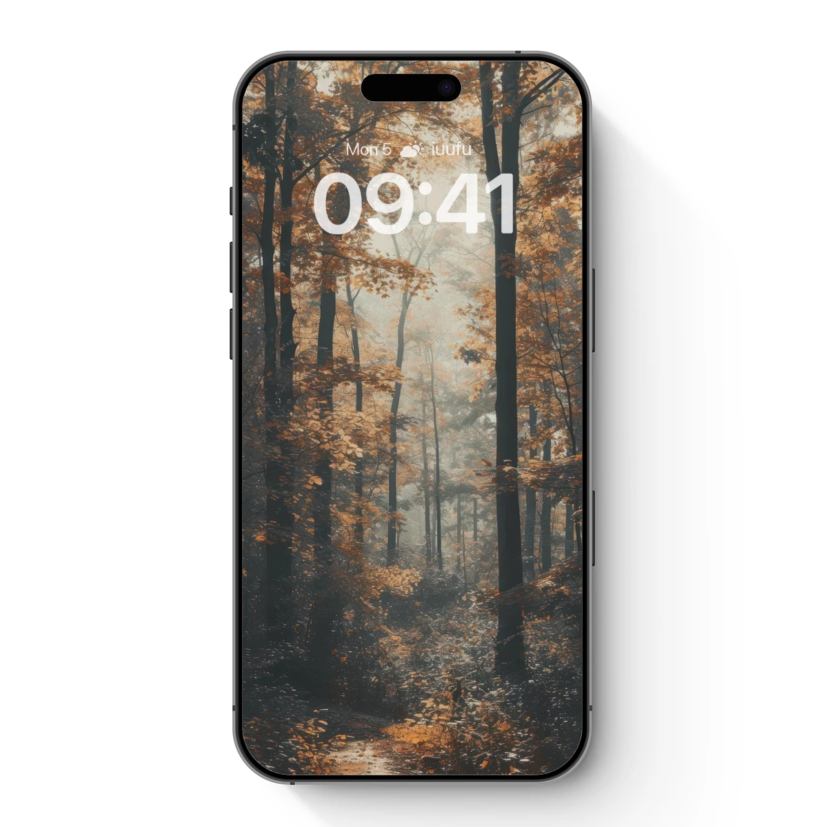 Autumn Mist Enchantment