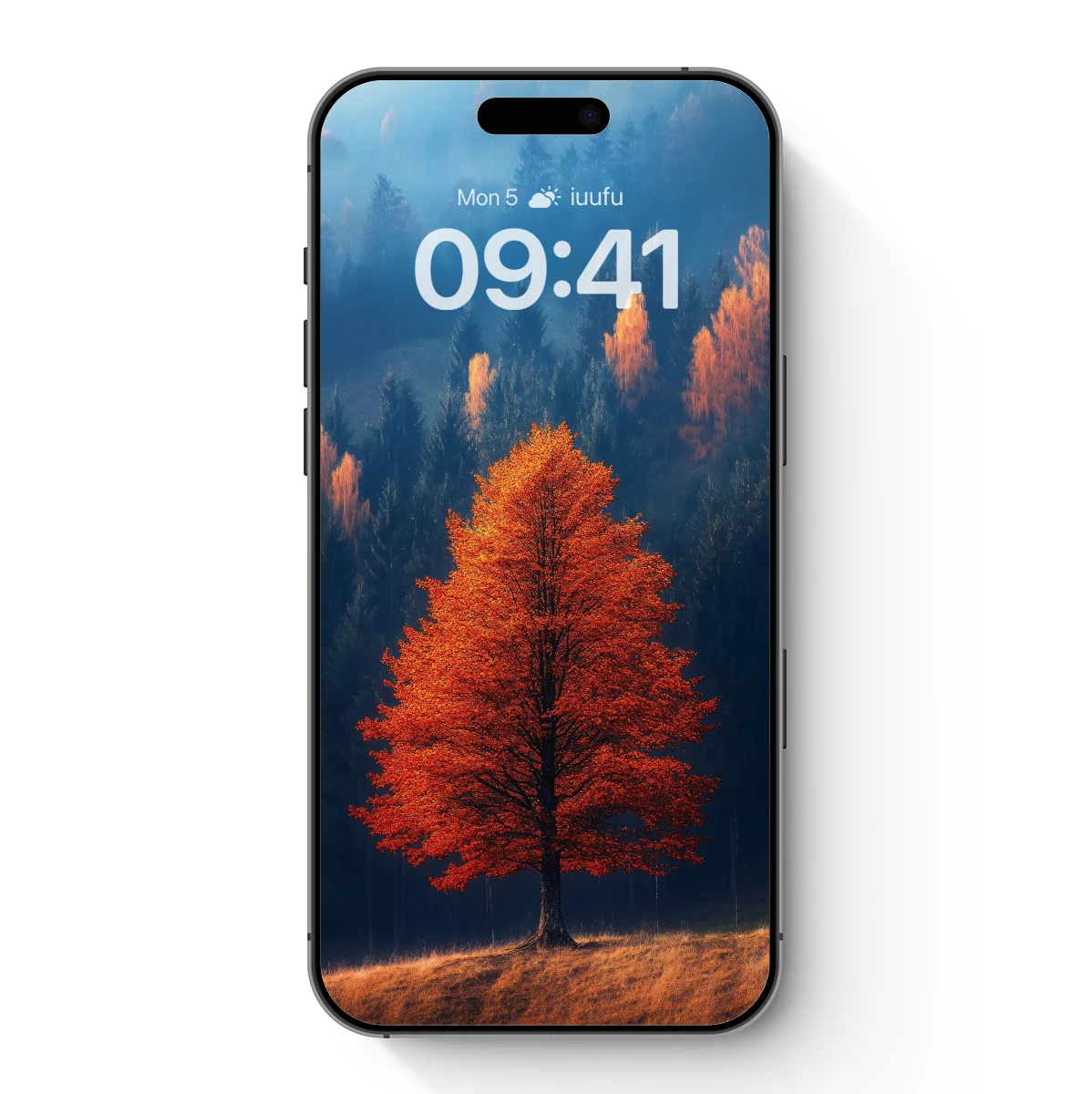 Autumn Blaze: Solitary Tree in Vibrant Fall Colors