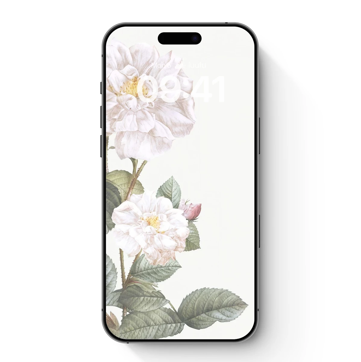 Elegant White Roses: Botanical Artistry