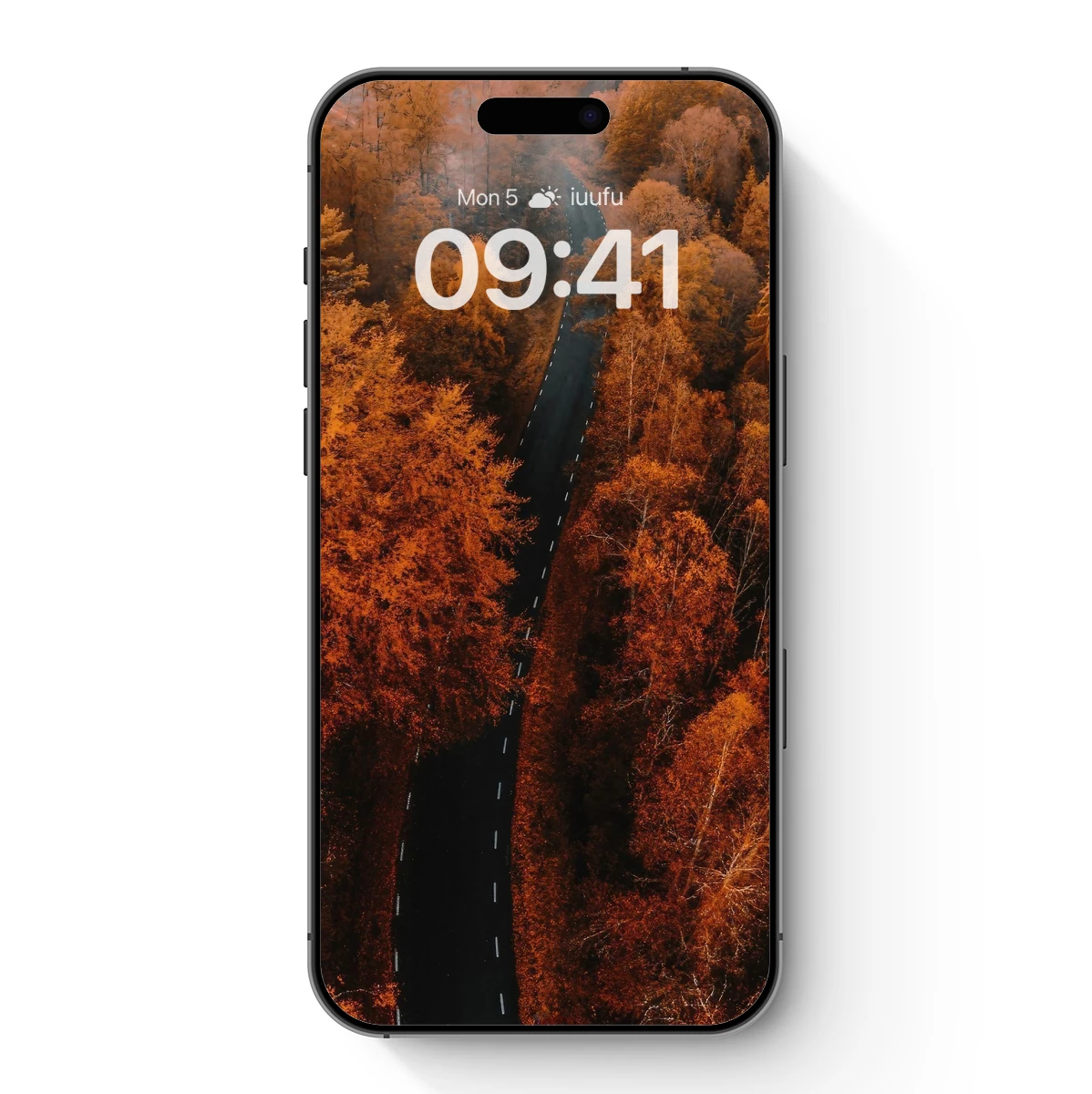 Autumnal Road Through Golden Forest