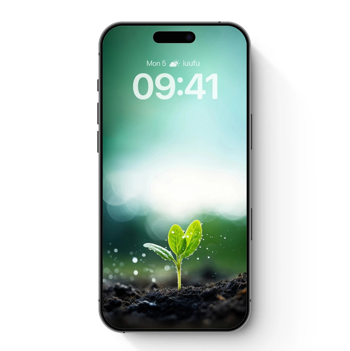 Emerging Green Hope: Sprout Against Soft Bokeh