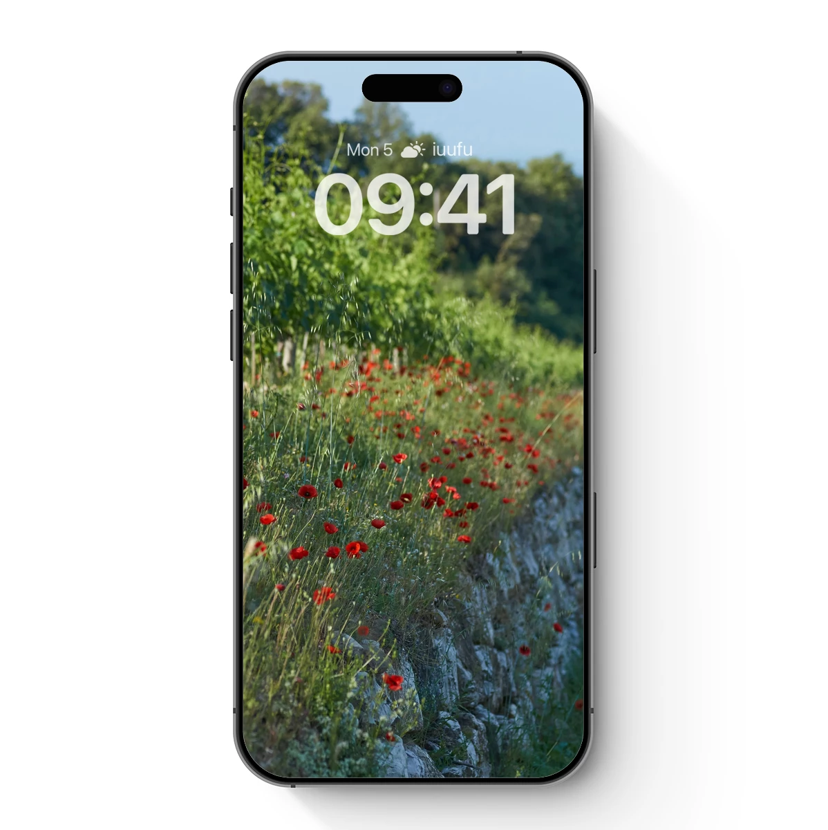 Blooming Red Poppies on a Lush Hillside